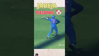 cricket sirjadeja cricketlover jadaja fieldingjaya sports ajayjadejasir cricketnews cricket [upl. by Telimay]