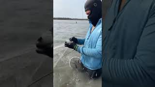 amazing fishing best fishing video pramative fishing milk fish catch up on Sea greatest fishing [upl. by Aikenat]