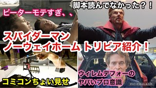 ドクターオクトパスはイヤイヤ演じた！？スパイダーマン ノーウェイ・ホーム トリビアと制作秘話 ＋コミコンの風景をちょっと紹介！キャスティングの秘密やモテモテなピーターパーカー達 トムホランド [upl. by Akahs]