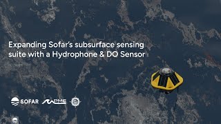 Webinar Expanding Spotter’s subsurface sensing suite with a Hydrophone and Dissolved Oxygen Sensor [upl. by Seaton519]