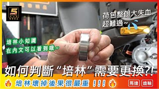 【小知識】如何判斷“培林”產生異音呢 🤔 ❌居然嚴重到整顆馬達都要更換 ｜ 馬達 ｜ 齒輪 ｜ 培林 ｜ 異音｜ 改裝 ✅Gogoro Ai1 ec05 【核五廠】 [upl. by Nnairak908]