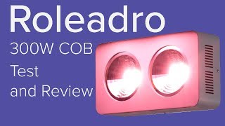 Roleadro 300w COB grow light test and review [upl. by Dallon985]