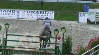 ♂ Cassius du Ry jumping stallion HOLST by Cassini I [upl. by Thamora]