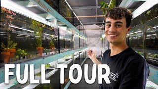 300 Aquariums in my Fish Breeding Warehouse [upl. by Arno147]