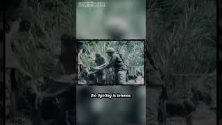 101st Airborne in Vietnam 1967  Pt 10 [upl. by Nabatse3]