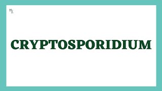 Cryptosporidium  Morphology Life Cycle Cryptosporidiosis lab Diagnosis Treatment  MedZukhruf [upl. by Lolanthe]