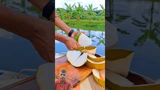 Coconut fruit cutting coconut food fruit oddlysatisfying satisfying [upl. by Araht558]