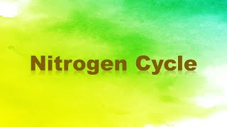 A2 Biology  Reactions in the nitrogen cycle OCR A Chapter 233 [upl. by Bayer]