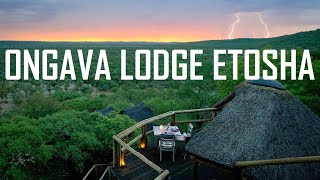 ONGAVA LODGE ETOSHA NATIONAL PARK NORTHERN NAMIBIA  ОНГАВА ЛОДЖ ПАРК ЭТОША СЕВЕРНАЯ НАМИБИЯ [upl. by Atteselrahc]