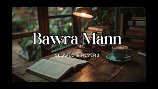 Bawra Mann Dekhne Chala Ek Sapna slowedreverb lofi [upl. by Ear]