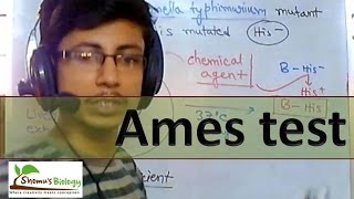 Ames test [upl. by Ernesta500]