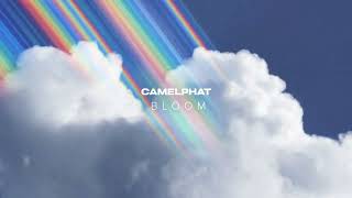 CAMELPHAT  Bloom [upl. by Ybrad]