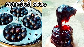 Grape jam recipe  easy and tasty homemade grape jam recipe  3 ചേരുവകൾ മാത്രം മതി ജാം റെഡി [upl. by Dorothea]