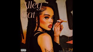 Alley Cat [upl. by Pucida]