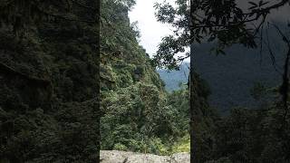 Poon hill to Ulleri bollywood song bollywoodsongs hindisong travel musicgenre nature music [upl. by Annahsohs176]