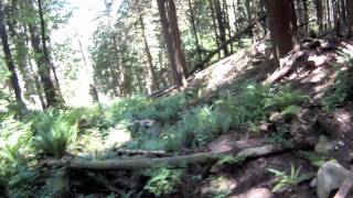 Tiger Mountain biking Northwest Timber Trail [upl. by Dranreb]