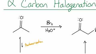 Chem128BFA24 Chapter 22 Lecture 1 Alpha Carbon Halogenation and Aldol Addition [upl. by Nauqahs]