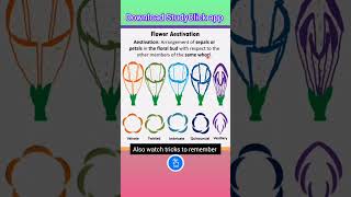 Define Flower Aestivation in Plants  KVS PGT BIOLOGY neet classxibiology [upl. by Thordia]