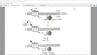 GPCR Rhodopsin and role in VisionSmellTaste [upl. by Barby]