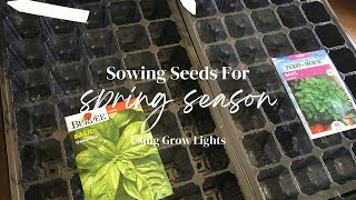 Sowing Herb and Flower Seeds for Spring Garden Zone 8a January 2024 [upl. by Truc]