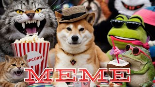 LETS TALK CRYPTO ROARING KITTY SHIB PEPE WIF amp MEMES bitcoin shibainutoken pepe meme [upl. by Imailiv]