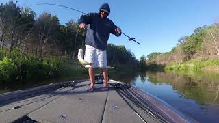 Bass Fishing with Kistler Rods KLX Frog Rod on Lake Texoma [upl. by Fellows]