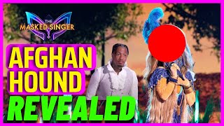 Afghan hound Masked Singer Revealed [upl. by Lieno872]