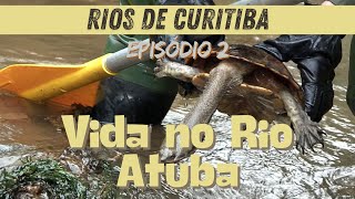 Episódio 2 Vida no Rio Atuba [upl. by Messab114]