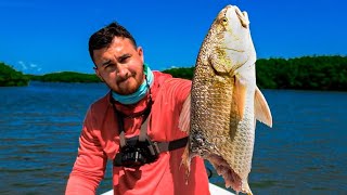 Florida Fishing Has A Serious Problem That No One Talks About [upl. by Bailie]