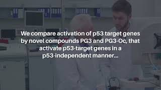 ISR Activation amp Apoptosis via HRI Kinase by PG3 and Other p53 Cancer Therapies  Oncotarget [upl. by Rraval]