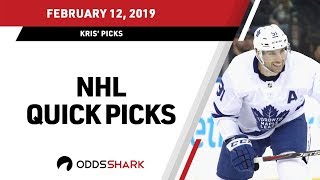 NHL Quick Picks and Betting Odds  February 12 2019 [upl. by Eremihc]