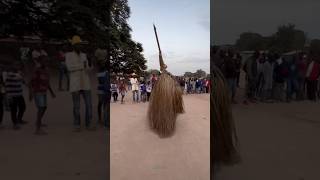 Zangbeto festival  african dance  shorts zangbeto southafrica youtubeshorts trending facts [upl. by Nerw]