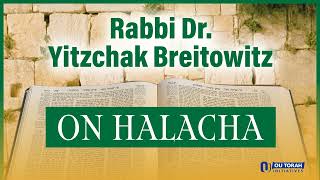 An Introduction to Chametz and Matzah By Rabbi Yitzchak Breitowitz [upl. by Spoor]