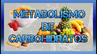 Metabolismo de carbohidratos BIOQUÍMICA [upl. by Ingaborg]