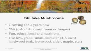 Growing shiitake mushrooms part 1 of 2 [upl. by Perry]