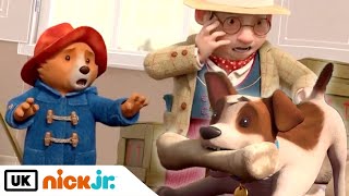 The Adventures of Paddington  Lucky and the Dinosaur Bone  Nick Jr UK [upl. by Dinny227]