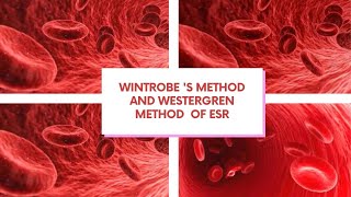 Wintrobes method and Westergren method for ESR [upl. by Ellinet778]