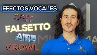 Efectos Vocales  Que son el Grit Fry Falsetto Aire Growl  Consejos para Cantar Mejor [upl. by Devland]