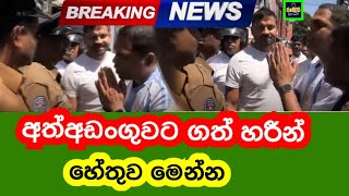 🔴Harin Fernando  Breaking News  Today News  News Update  News From Sri Lanka Today Sri Lanka [upl. by Nayar49]