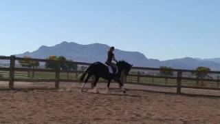 Amélie Swedish Warmblood Sporthorse dressage horse for sale [upl. by Asirral]