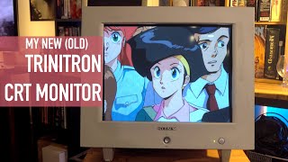 Sony Trinitron CRT Monitors Are Still Beautiful Picked Up a 19quot HMDA400L Monitor [upl. by Dugan]