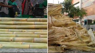 Sugarcane Bagasse Treatment  Innovative Design [upl. by Tannenwald]