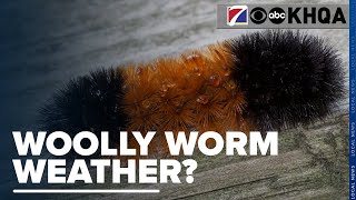 Can Woolly Worms Predict the Winter Weather [upl. by Allertse]