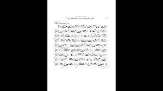 Rameau Tambourins from Les Indes galantes on recorder [upl. by Grannie]