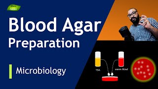 How to Prepare Blood Agar  Media Microbiology Lab  Hemolysis Detection  Basic Science Series [upl. by Ravens640]