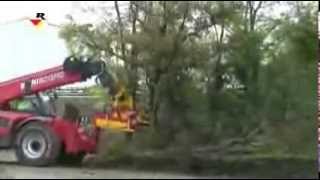 TELEHANDLER TREE CUTTING [upl. by Frohne150]