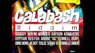 Italis amp Shaki  Sexy For Yah Calabash Riddim [upl. by Katt857]