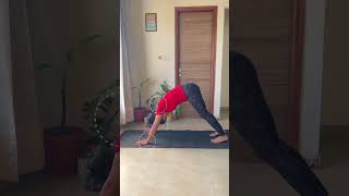 Correct your downward dog downwarddog yoga yogatips [upl. by Rebel349]