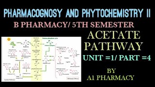 Acetate pathway unit 1 part4 pharmacognosy 5th sem [upl. by Leterg]