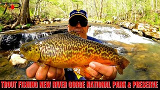 Trout Fishing New River Gorge National Park amp Preserve [upl. by Anaitak]